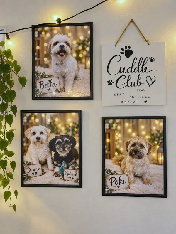 The Cuddle Club photo wall — framed portraits of Bella, Brownie, Midnight and Poki