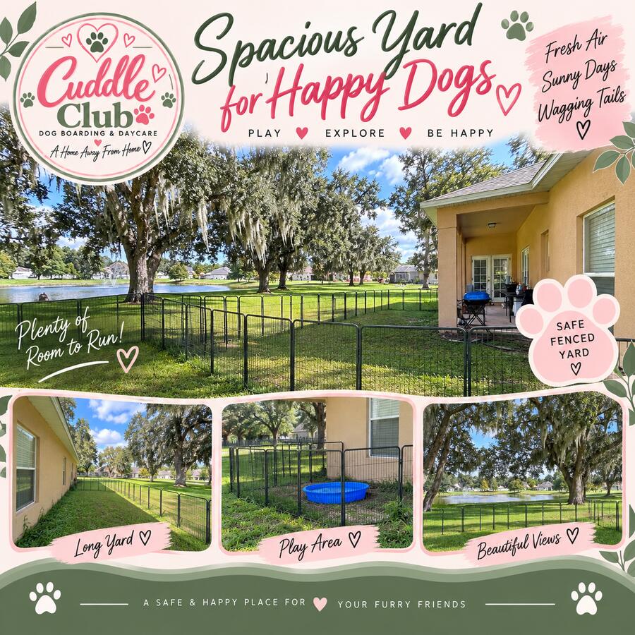 Spacious yard for happy dogs — plenty of room to run