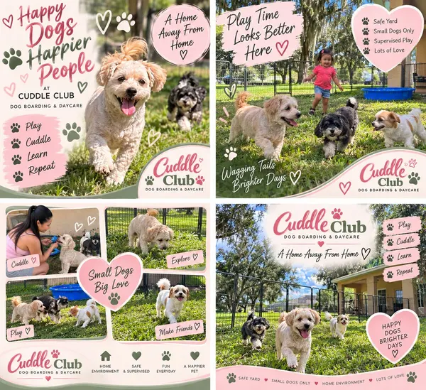 Happy dogs, happier people — a home away from home